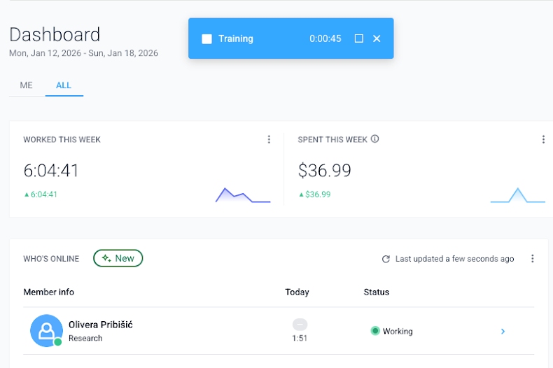 Hubstaff glitch