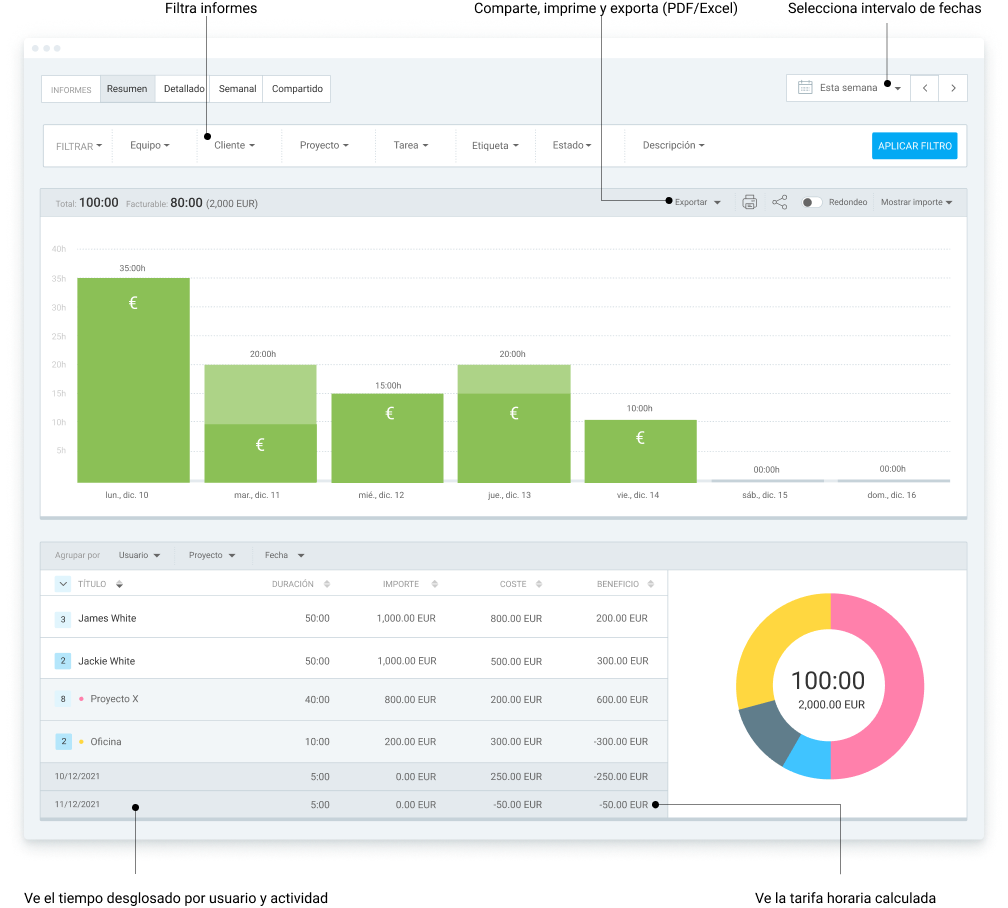 Software de gestión de agencias con proyecto, captura de pantalla